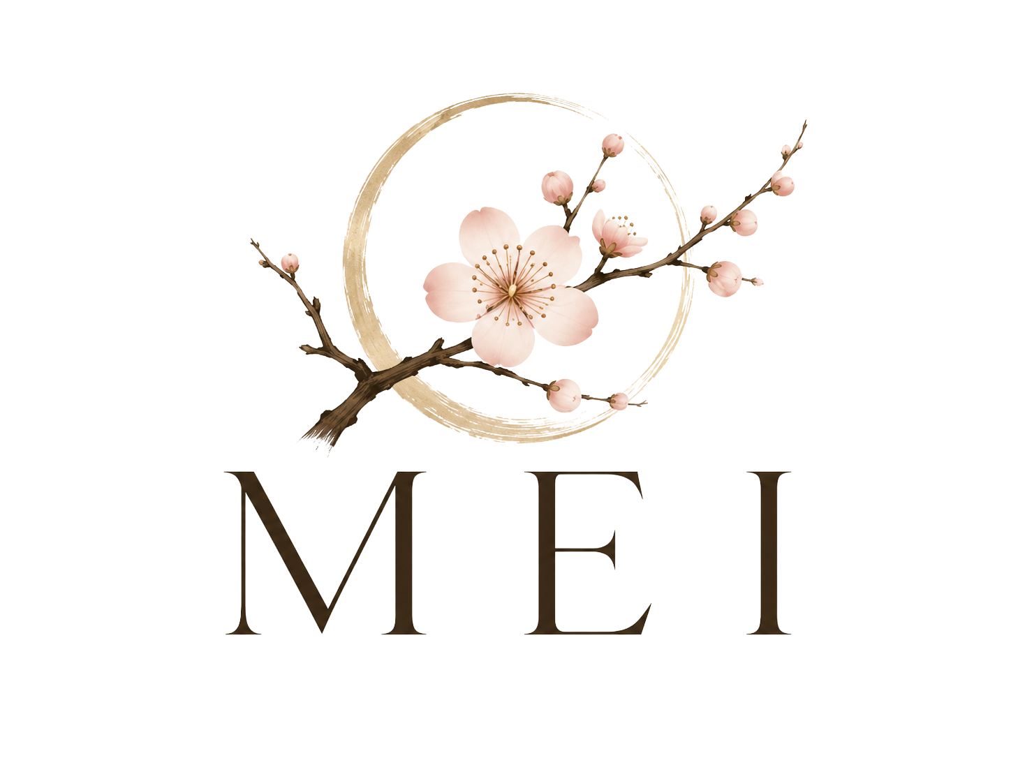 Logo MEI centra – švestkový květ s enso kruhem